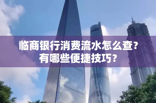 临商银行消费流水怎么查？有哪些便捷技巧？