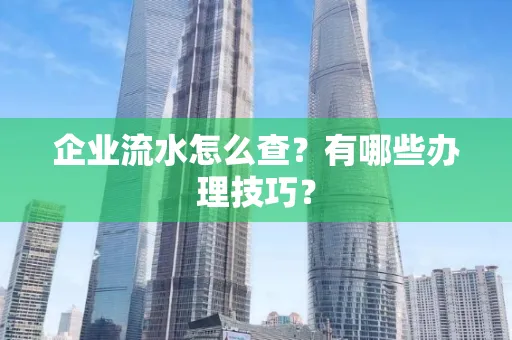 企业流水怎么查？有哪些办理技巧？