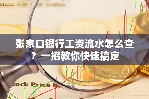张家口银行工资流水怎么查？一招教你快速搞定