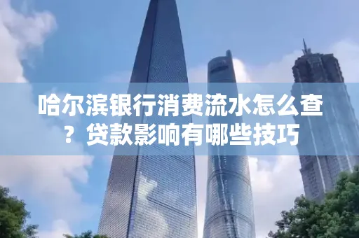 哈尔滨银行消费流水怎么查？贷款影响有哪些技巧