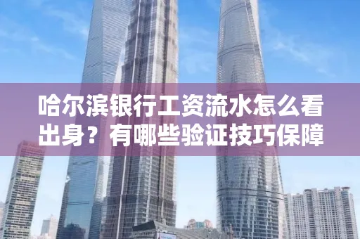 哈尔滨银行工资流水怎么看出身？有哪些验证技巧保障贷款过关？