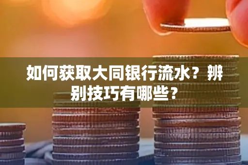 如何获取大同银行流水？辨别技巧有哪些？