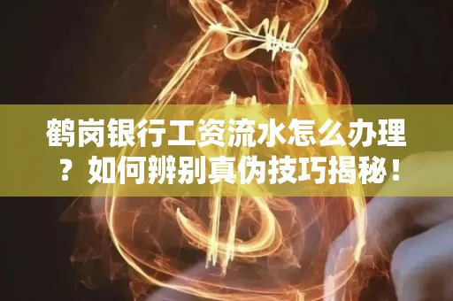 鹤岗银行工资流水怎么办理？如何辨别真伪技巧揭秘！